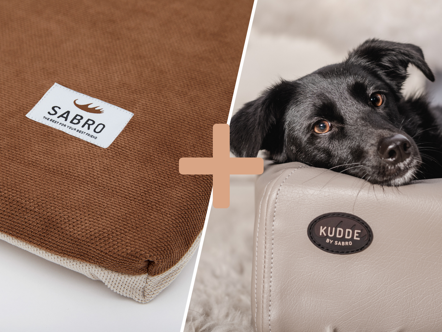 Orthopädisch-Plus Bundle | KUDDE Hundebett + Mumin Einlage Alltid