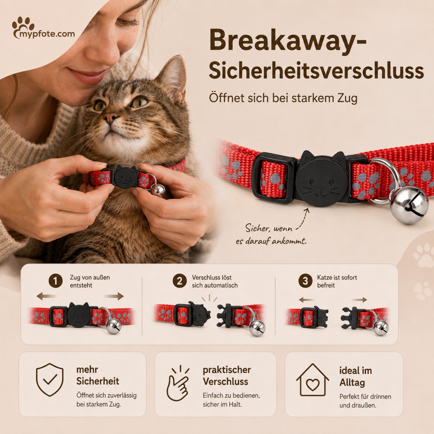Katzenhalsband mit Name und Telefonnummer graviert