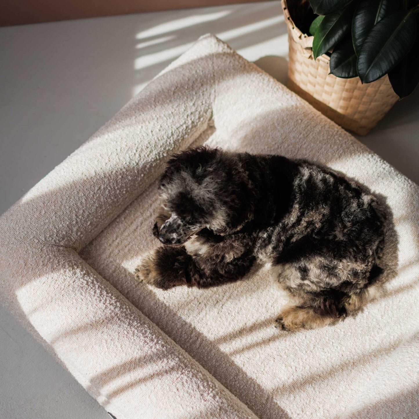 Hundebett Barklay Größe S mit Boucèbezug
