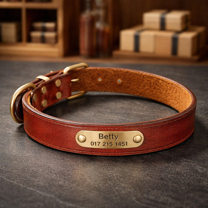 Leder Hundehalsband mit goldfarbener Marke, Gravur Name und Telefon