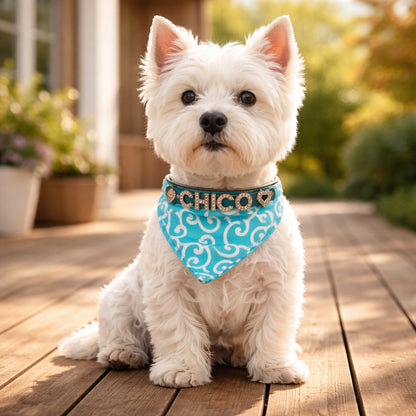 Hundehalstuch mit Namen und Hundehalsband aus echtem Leder. Besetzt mit glitzer Strass-Buchstaben
