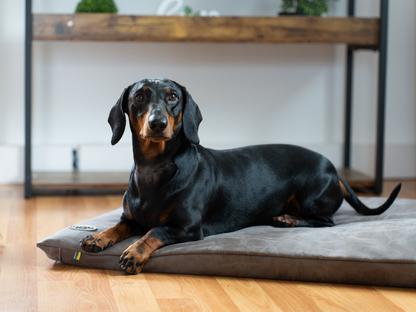 Hundeliegematte JOKKMOKK veganes Wildleder