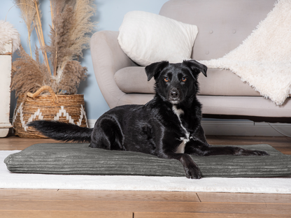 Hundeliegematte JOKKMOKK Cord