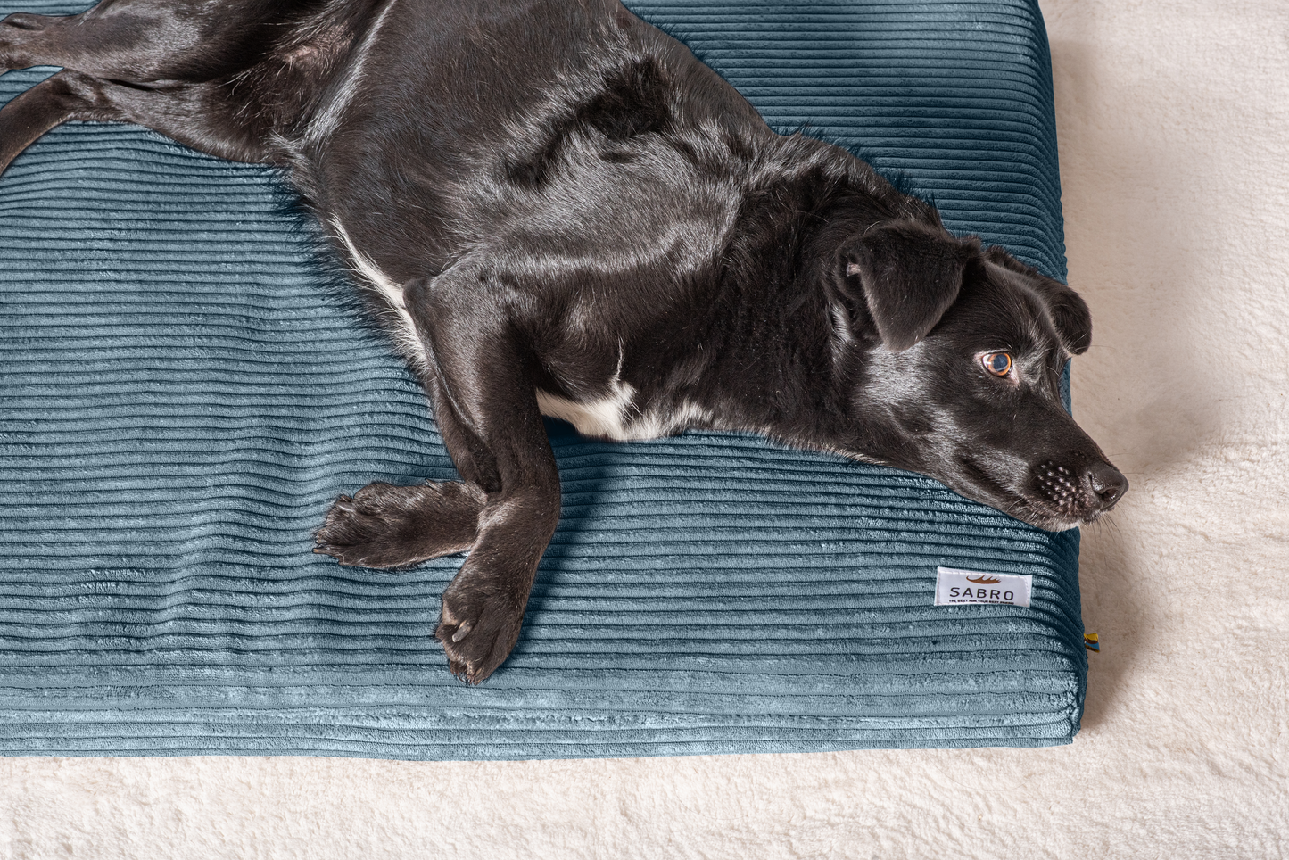 Hundeliegematte JOKKMOKK Cord