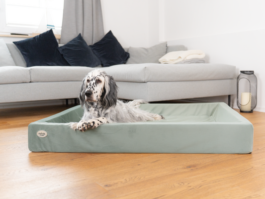 Hundebett KUDDE Samt