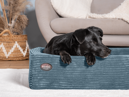 Bezug für KUDDE Cord