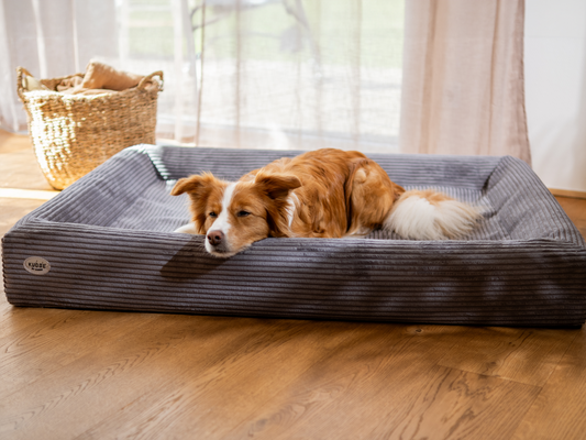 Hundebett KUDDE Cord