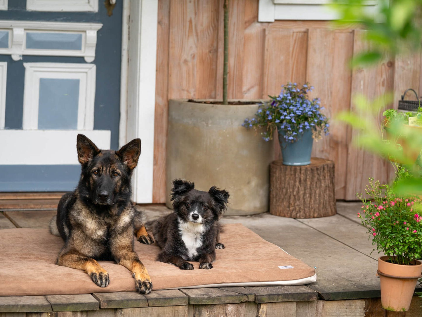 Hundeliegematte JOKKMOKK Alltid