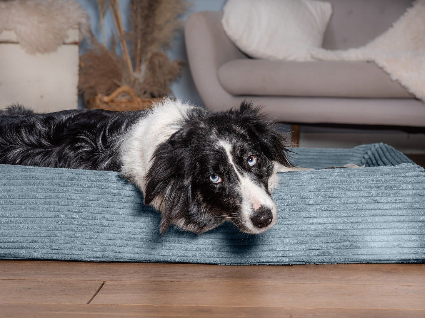 Hundebett KUDDE Cord