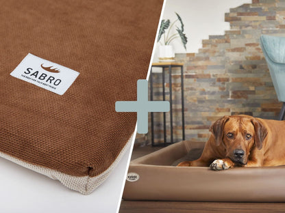 Orthopädisch-Plus Bundle | KUDDE Hundebett + Mumin Einlage Alltid