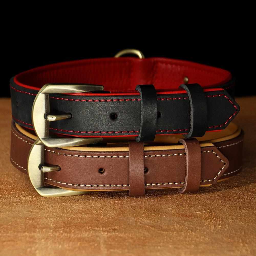 Exklusives Leder Hundehalsband mit großer Gravurplatte und gratis Gravur